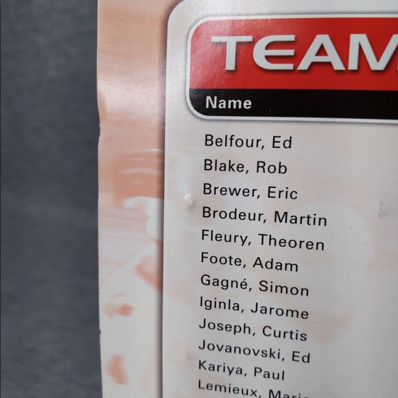 Team Canada 2002 Official Pin Collection - Picture 10 of 11